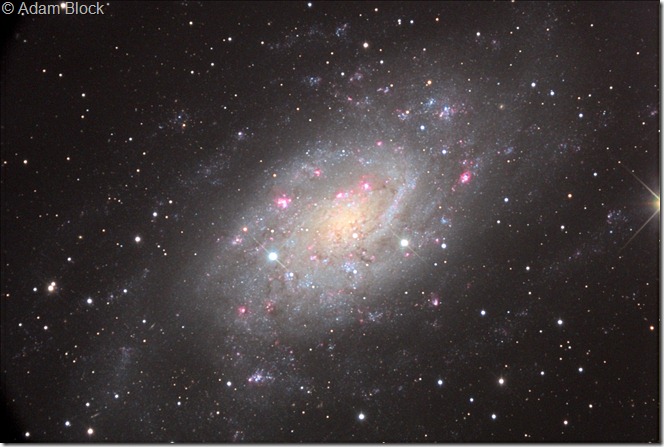 NGC 2403 Adam Block NGC 2403 Adam Block