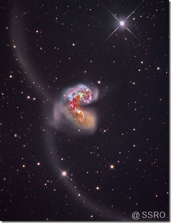 NGC 4038 39 SSRO