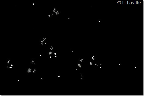 NGC 80 group T254 BL 2002 08 14 croq NGC 80 group T254 BL 2002 08 14 croq