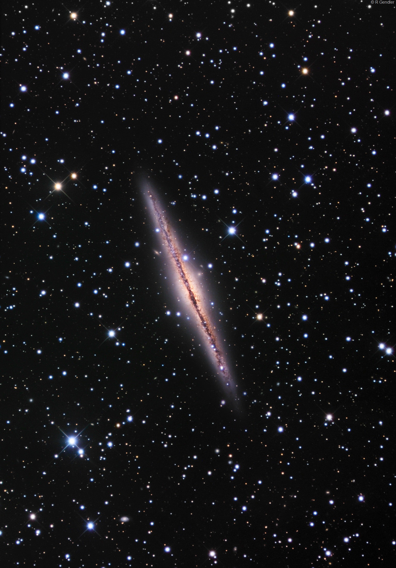 NGC 0891 T254 vs T635 » Dessins du ciel profond extrême