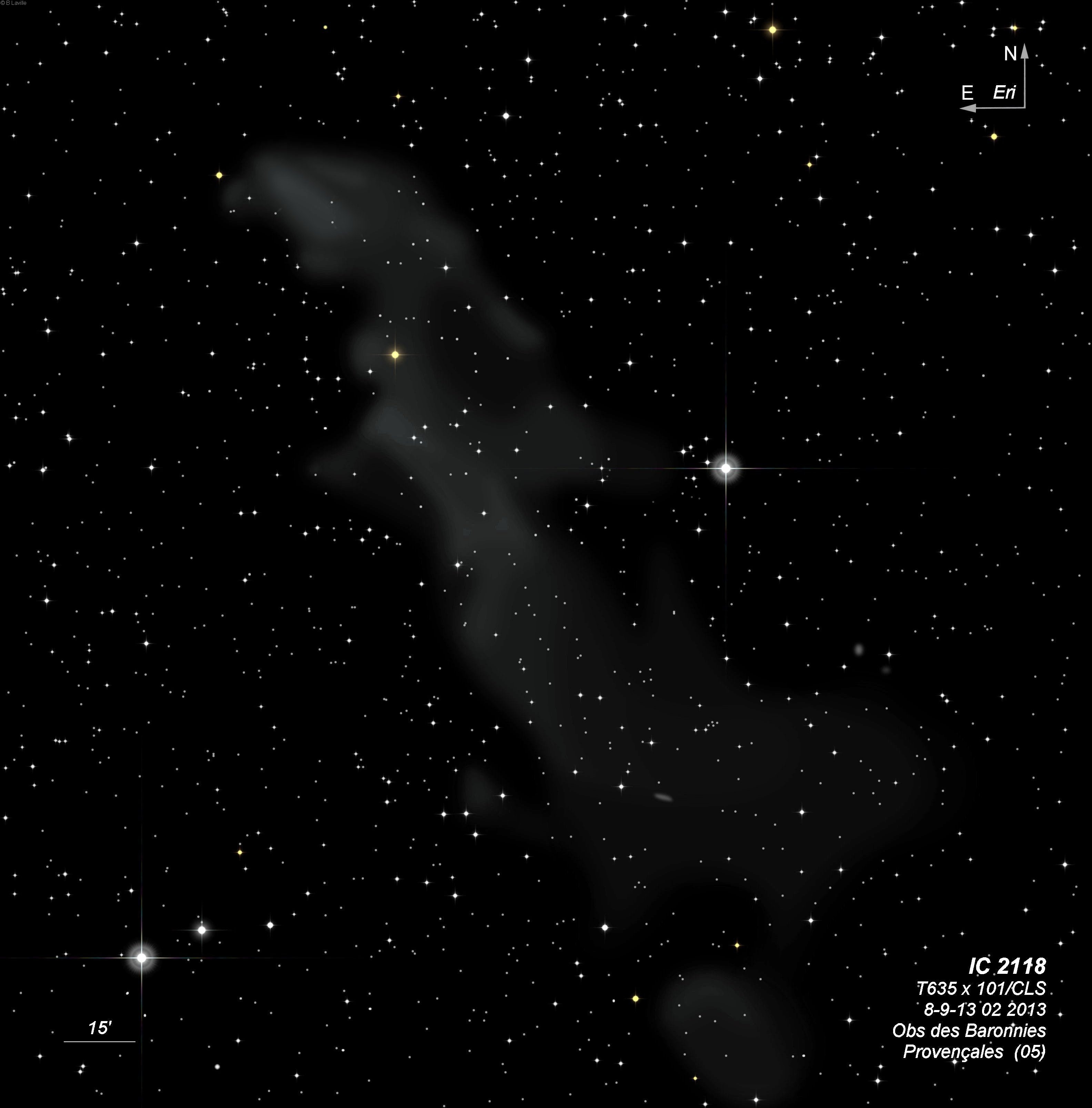 IC 2118 Dss · IC 2118 T635 BL 2013 02 13