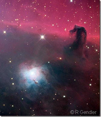 B 33  NGC 2023 Rob Gendler