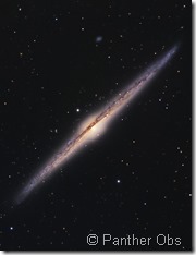 NGC 4565 Panther Obs