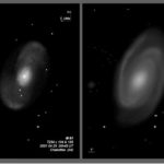 M 081  T254 vs T635 BL