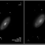 M 088  T254 vs T635 BL