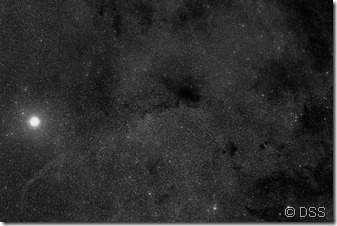 B 263 DSS large B&W