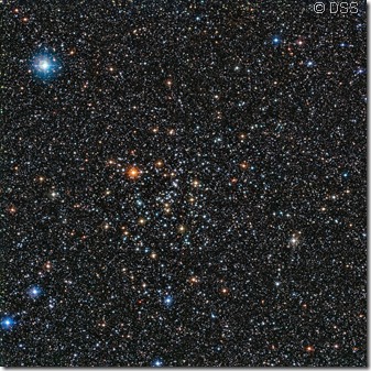 The rich star cluster IC 4651