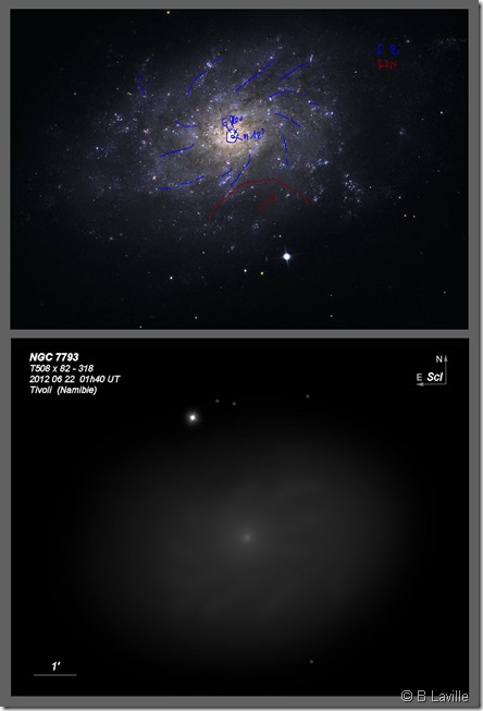 NGC 7793  T508  BL 2012 06 22 crop