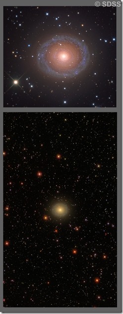 NGC 7217 Capella Obs & SDSS