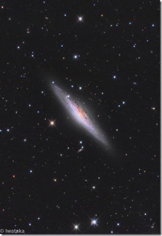 NGC 2683 Iwakata crop