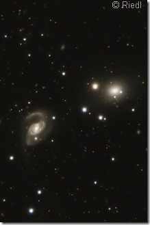 NGC 4291 4319 Riedl Astrobin crop