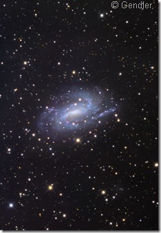 NGC 925 Gendler R