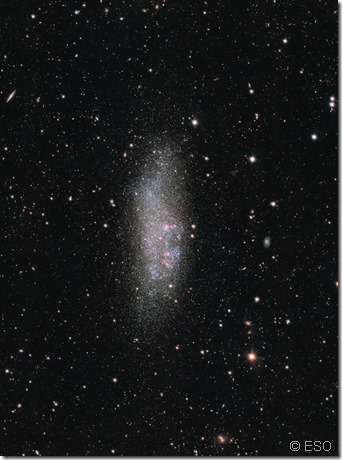 The WLM galaxy on the edge of the Local Group