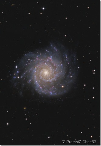 M 74 Prompt7 Chart32 crop