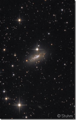 NGC 1569 Stuhm Astrobin crop