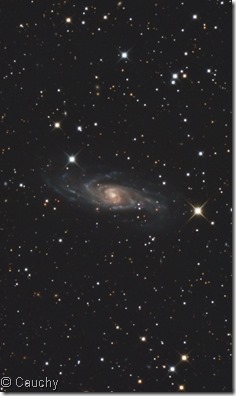 NGC 5161 Cauchy crop